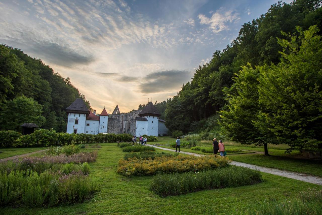 Dvorec Trebnik - Sobe Slovenske Konjice Exterior photo